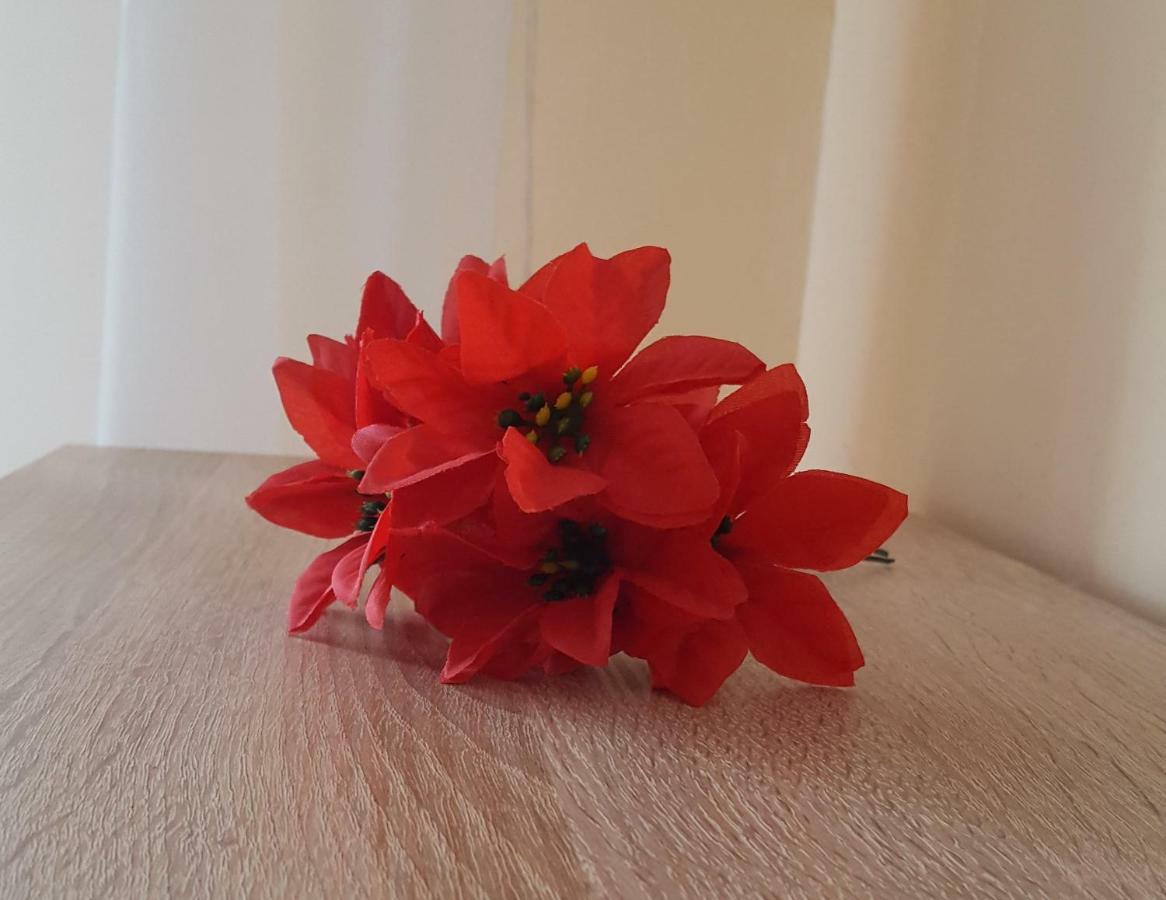 Apartament Gia Oradea Eksteriør bilde